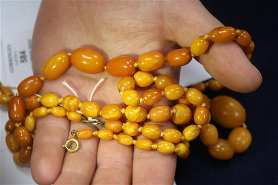 Two single strand graduated amber bead necklaces, gross weight 57grams.